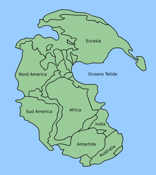 I continenti di oggi individuati all'interno del supercontinente Pangea, circondato dal superoceano Panthalassa; si vede l'oceano Tetide, da cui nascer il mar Mediterraneo