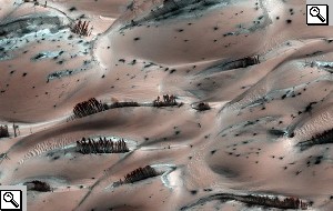 Foto dei punti neri presenti sulle dune del Polo Sud e dettaglio delle medesime; alle volte l'angolazione della foto fa sembrare che tali punti neri siano degli alberi.