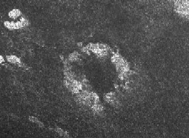 Immagine radar della struttura Guabonito, al margine di Xanadu